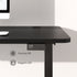 Maidesite Standard Series 55 Inch Stand Steady Electric Height Adjustable Standing Desk